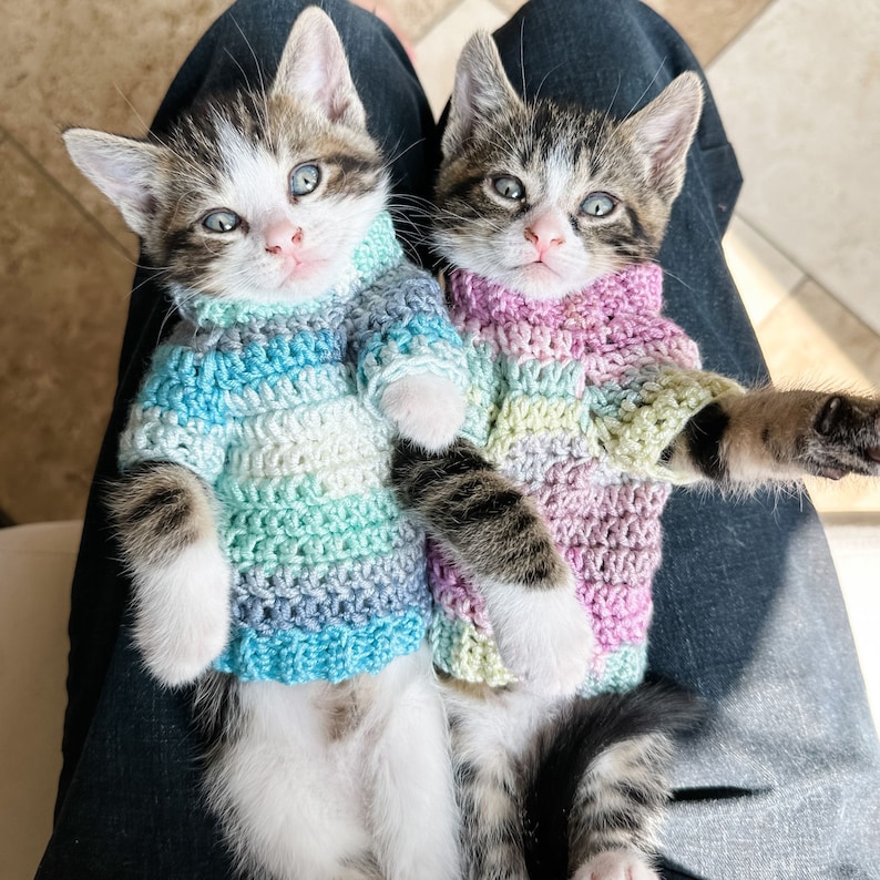 crochet a cat sweater